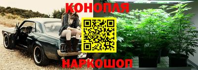 PSILOCYBIN Будённовск