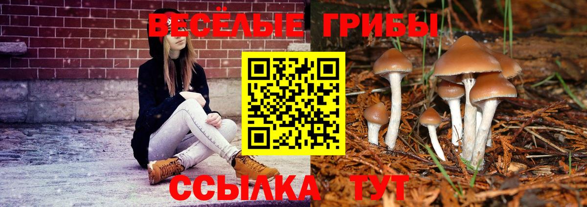 Буйнакск  Псилоцибиновые грибы мухоморы  купить   Вход с VPN 